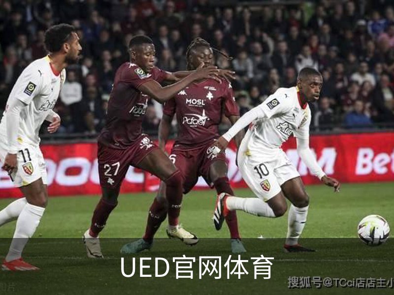 UED官网体育概况